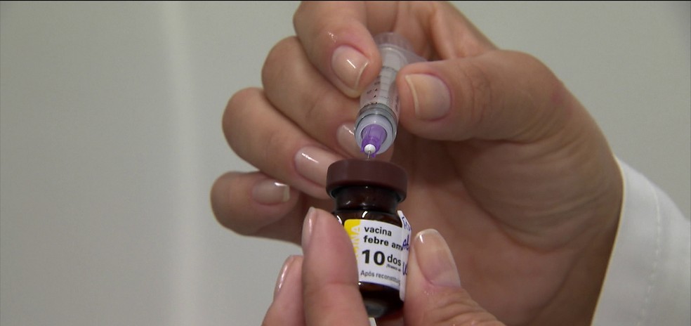 Moradores de Carmo da Mata são vacinados contra febre amarela nesta terça-feira (9) (Foto: Rede Globo)