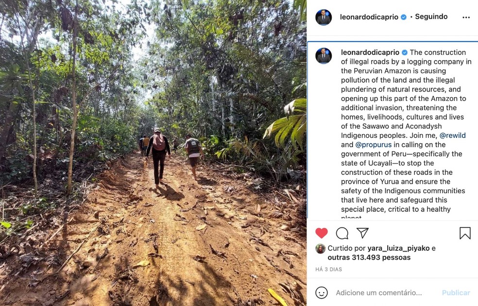 Leonardo DiCaprio cita abertura de estrada ilegal do lado peruano que ameaça indígenas no Acre  — Foto: Reprodução/Instagram
