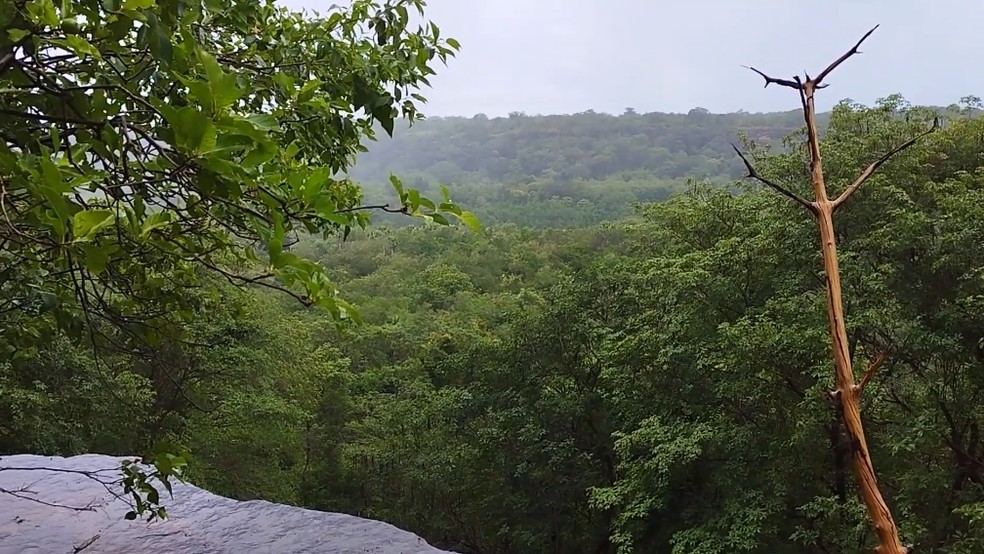 Vista da Cachoeira do Buriti Bravo, em Juazeiro do Piauí — Foto: Reprodução /TV Clube