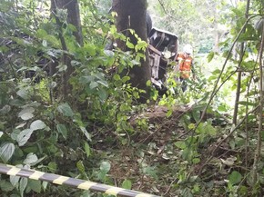 Automóvel caiu em um barranco na RS-426 (Foto: Cláudia Alessi/RBS TV)