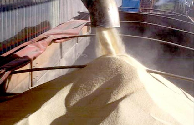 Carregamento de açúcar (Foto: Divulgação)