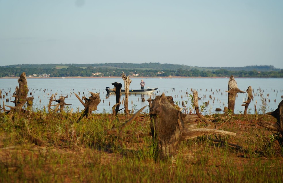 Ilha no Rio Paranapanema é símbolo da crise hídrica em Avaré — Foto: Rede Brasil do Pacto Global/Divulgação