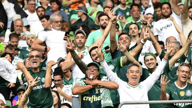 Torcida do Palmeiras festeja título paulista