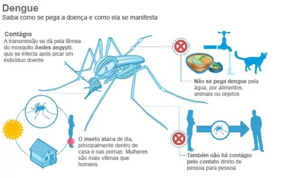 Como é a transmissão da dengue — Foto: Arte g1
