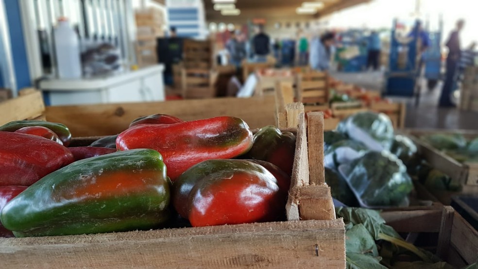 Abastecimento na Ceasa Campinas chegou a 70% nesta quinta-feira (Foto: AndrÃ© Natale/EPTV)