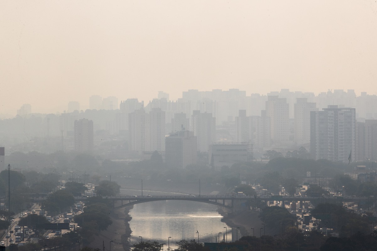 Poluição do ar mascara 0,5ºC do aquecimento global nos centros urbanos, diz pesquisador da USP em relatório da ONU | São Paulo