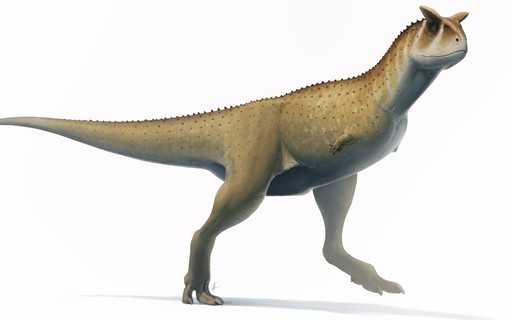 Descoberta nova espécie de dinossauro com braços minúsculos como o