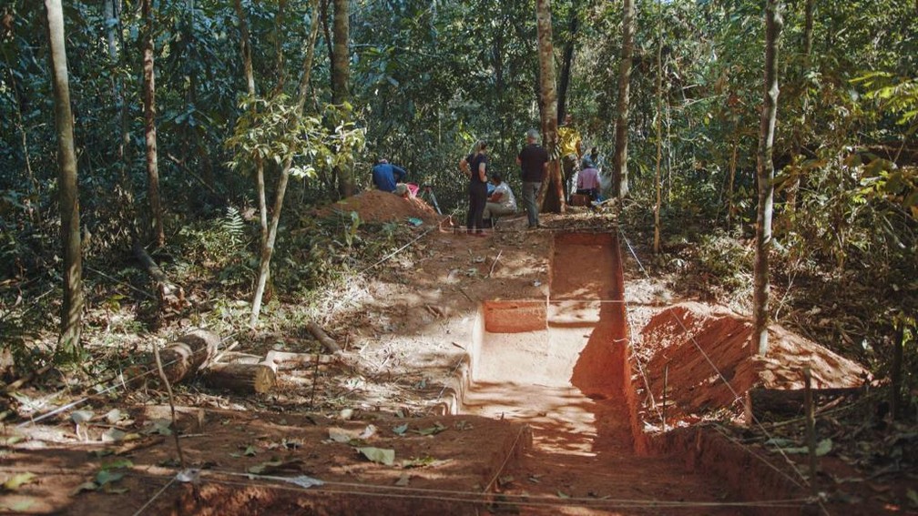 Três dos quatro sítios encontrados estão dentro da mata — Foto: Arquivo/Caainam/Ufac