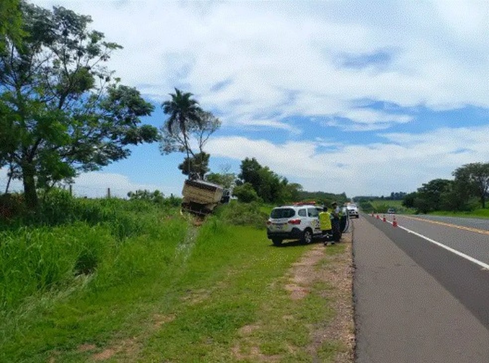 Motorista morreu após sofrer mal súbito e bater caminhão em árvore, em Dracena (SP) — Foto: Polícia Militar Rodoviária