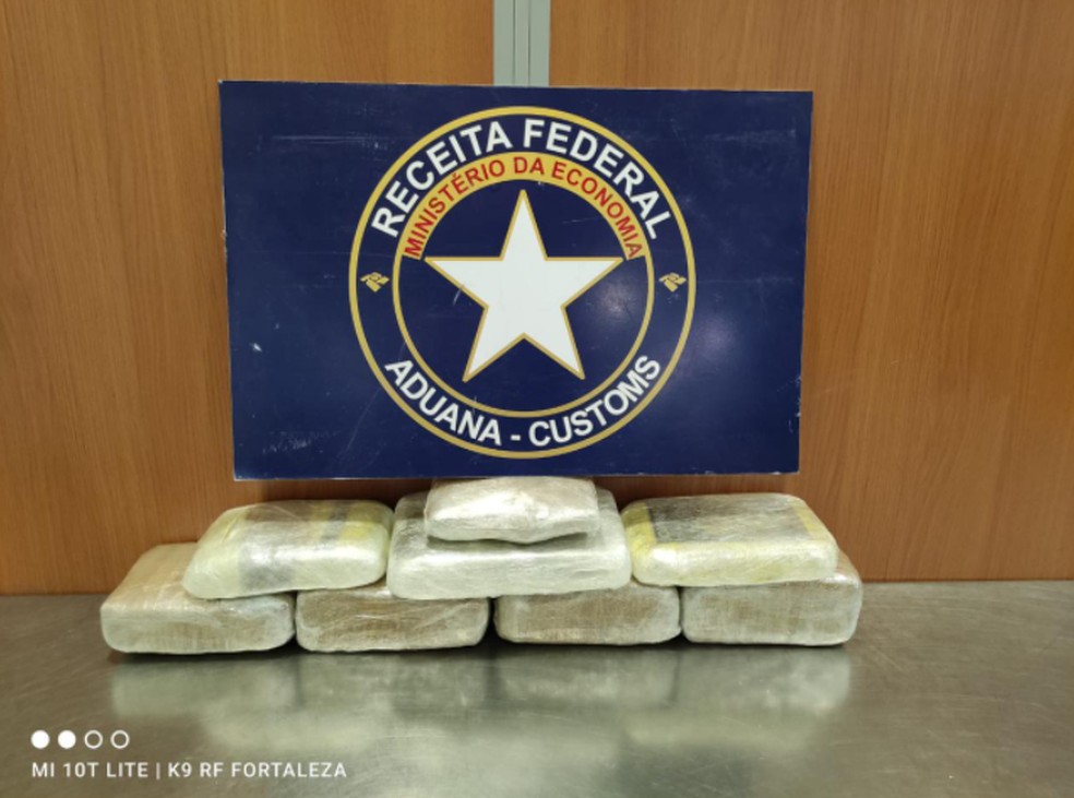 A droga foi encontrada por cães farejadores da Receita Federal. — Foto: Receita Federal/Divulgação