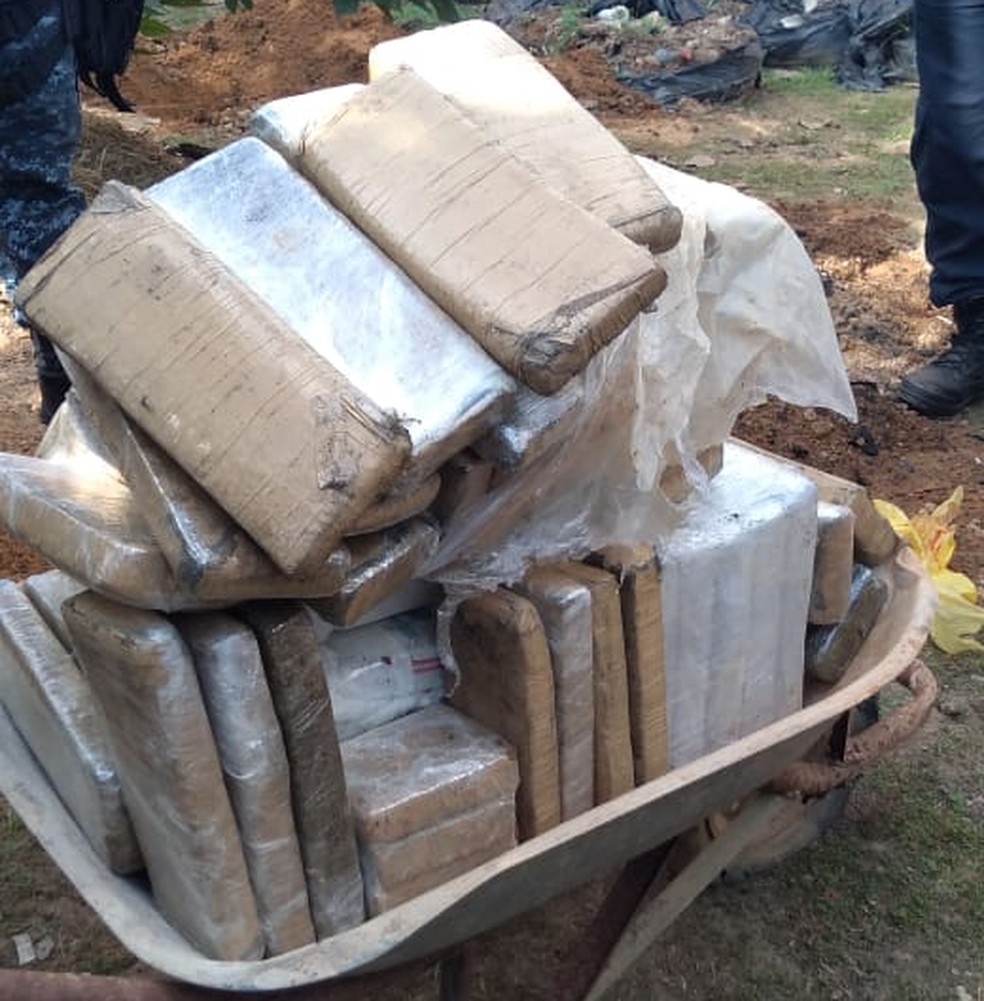 Quase 90 tabletes de droga foram encontrados na residência  — Foto: PM/Divulgação