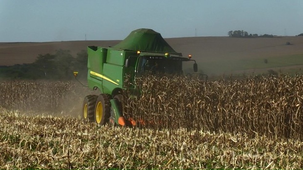 Produtores comemoram boa produtividade na colheita da segunda safra de milho no Paraná — Foto: Reprodução/RPC