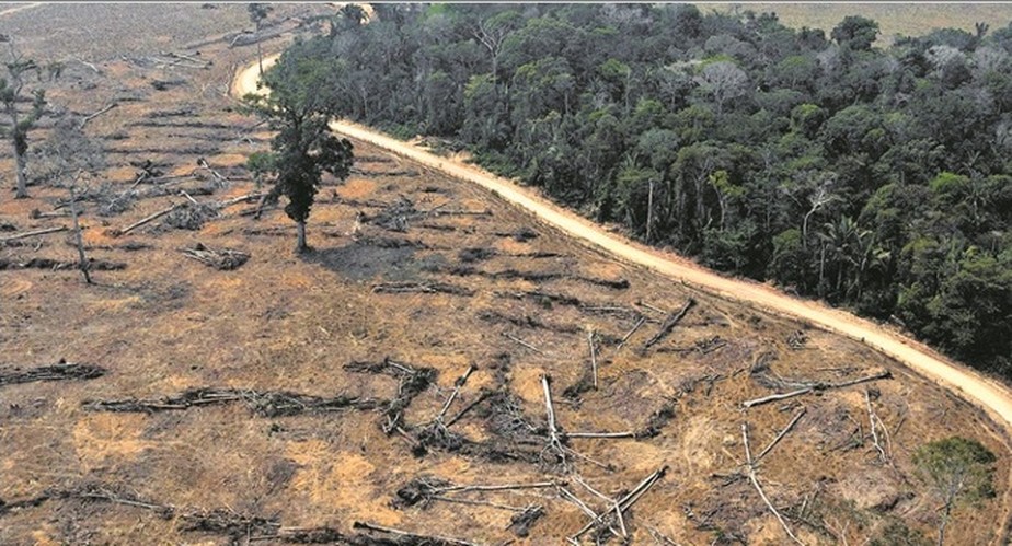 Área de fazenda desmatada com corte raso e queimada em Rondônia