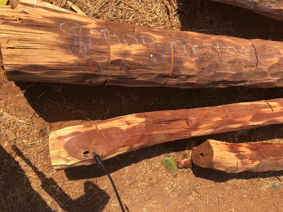 A extração da aroeira é proibida por decreto estadual. A madeira apreendida deve ser doada para entidades civis — Foto: Divulgação/PRF