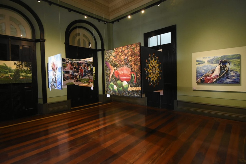 Museus p&uacute;blicos v&atilde;o ter que oferecer entrada gratuita para amazonenses uma  vez por semana | Amazonas | G1