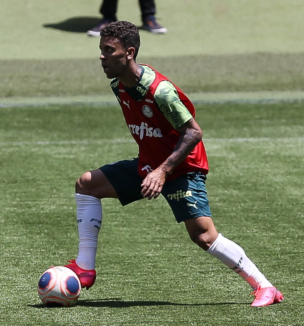 Marcos Rocha faz apelo à torcida do Palmeiras na Libertadores: 