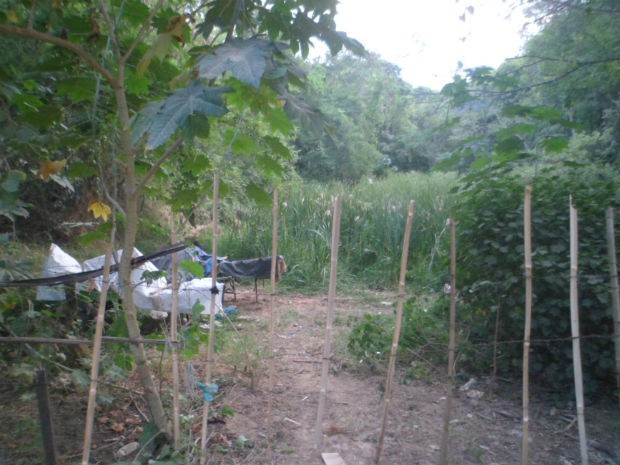 Recicladores fizeram uma cerca de madeira para isolar a área verde (Foto: Internauta/VC no G1)