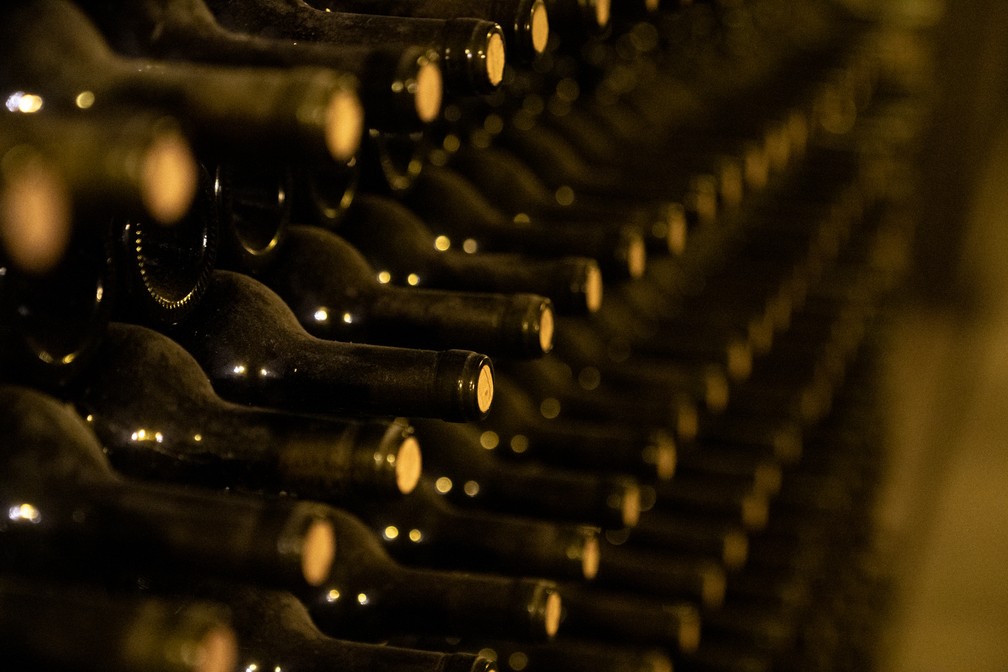 Rótulos guardados nas cavas subterrâneas: turismo do vinho inclui passeio guiado pela produção — Foto: Marcelo Brandt/G1