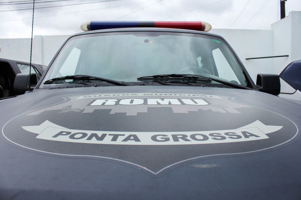 Ocorrência foi atendida pela Guarda Municipal — Foto: Prefeitura de Ponta Grossa