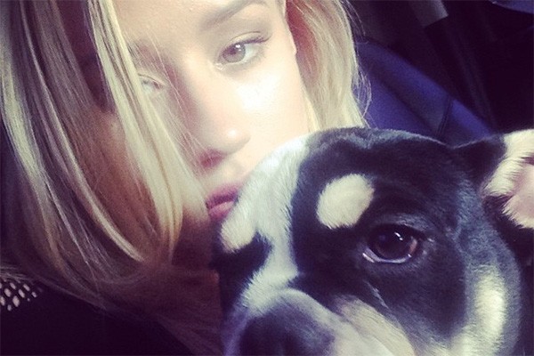 Boa parte das fotos do Instagram de Iggy Azalea são de sua cachorrinha. 