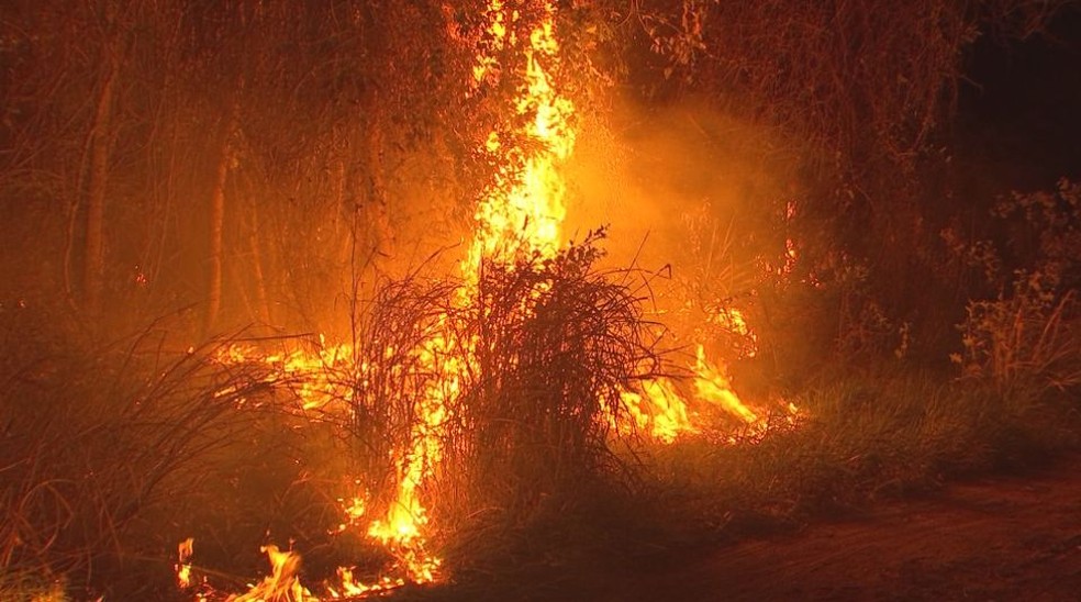Terreno com cerca de 150 mil metros quadrados foi destruído em incêndio neste final de semana em Bauru (Foto: Bob Rodrigues / TV TEM)