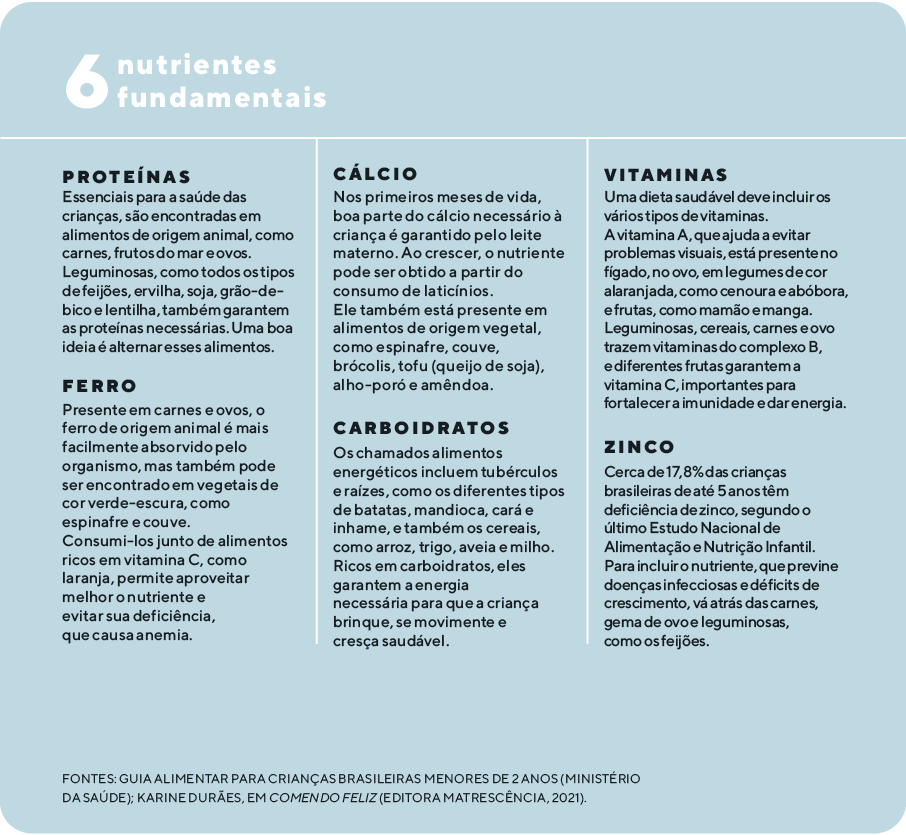 6 nutrientes fundamentais (Foto: 6 nutrientes fundamentais)