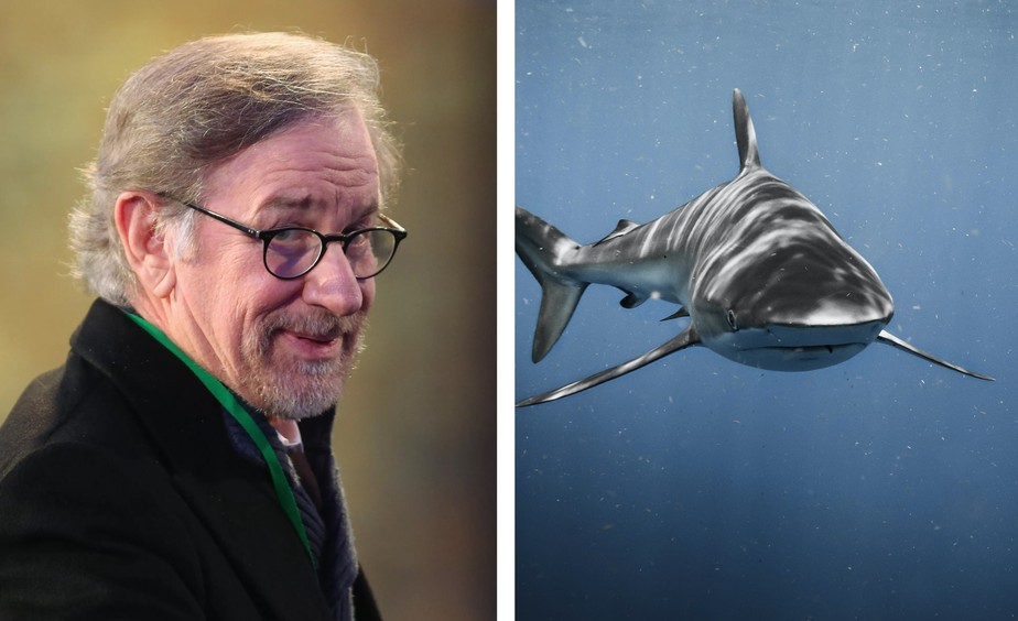 Steven Spielberg tem arrependimento sobre Tubarão (1975) devido ao extermínio dos animais