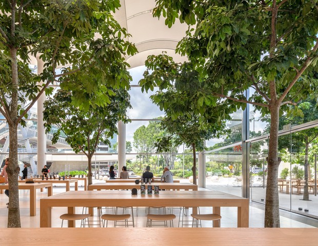 Nova loja da Apple em Miami faz referência ao patrimônio náutico e arquitetônico da cidade  (Foto: Divulgação/Foster + Partners)