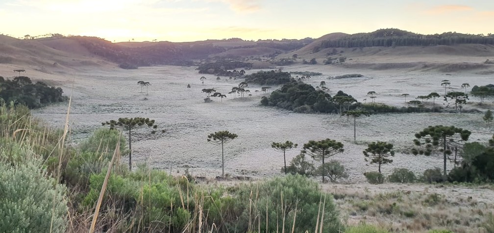 Amanhecer em São Joaquim — Foto: Mycchel Hudsonn Legnaghi/São Joaquim Online