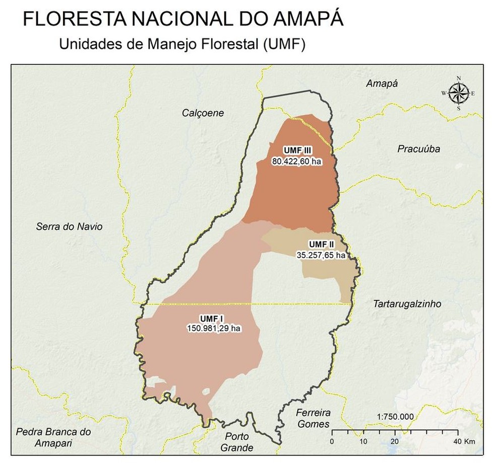 Território na Flona e áreas destinadas para concessão  — Foto: SFB/Reprodução