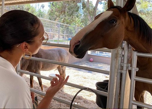 Alicia Keys com cavalo (Foto: Instagram/ Reprodução)