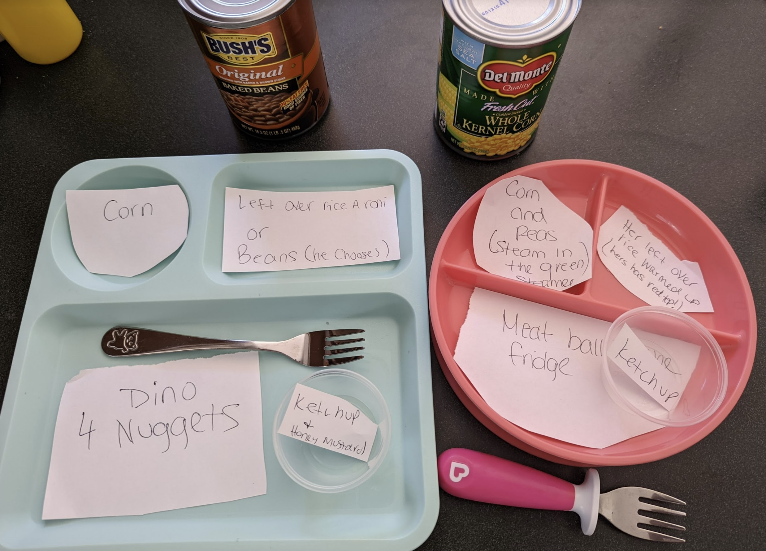 Foto compartilhada por pai mostra as instruções detalhadas deixadas pela esposa (Foto: Reprodução Reddit)