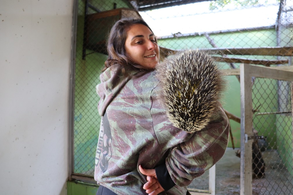 Érica Silva Pellosi atende animais resgatados que são encaminhados à Cidade da Criança — Foto: Stephanie Fonseca/g1
