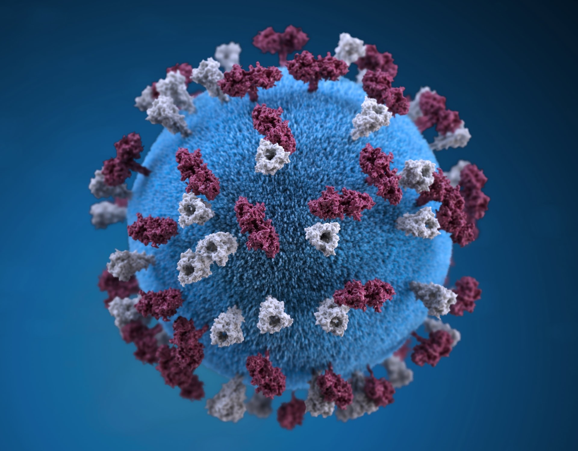 Considerando padrão de 7 anos, cientistas já estão se preparando para a próxima pandemia (Foto: CDC/Unsplash)