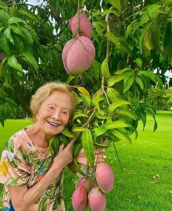 Glória Menezes em sua fazenda de Porto Feliz — Foto: Reprodução/ Instagram