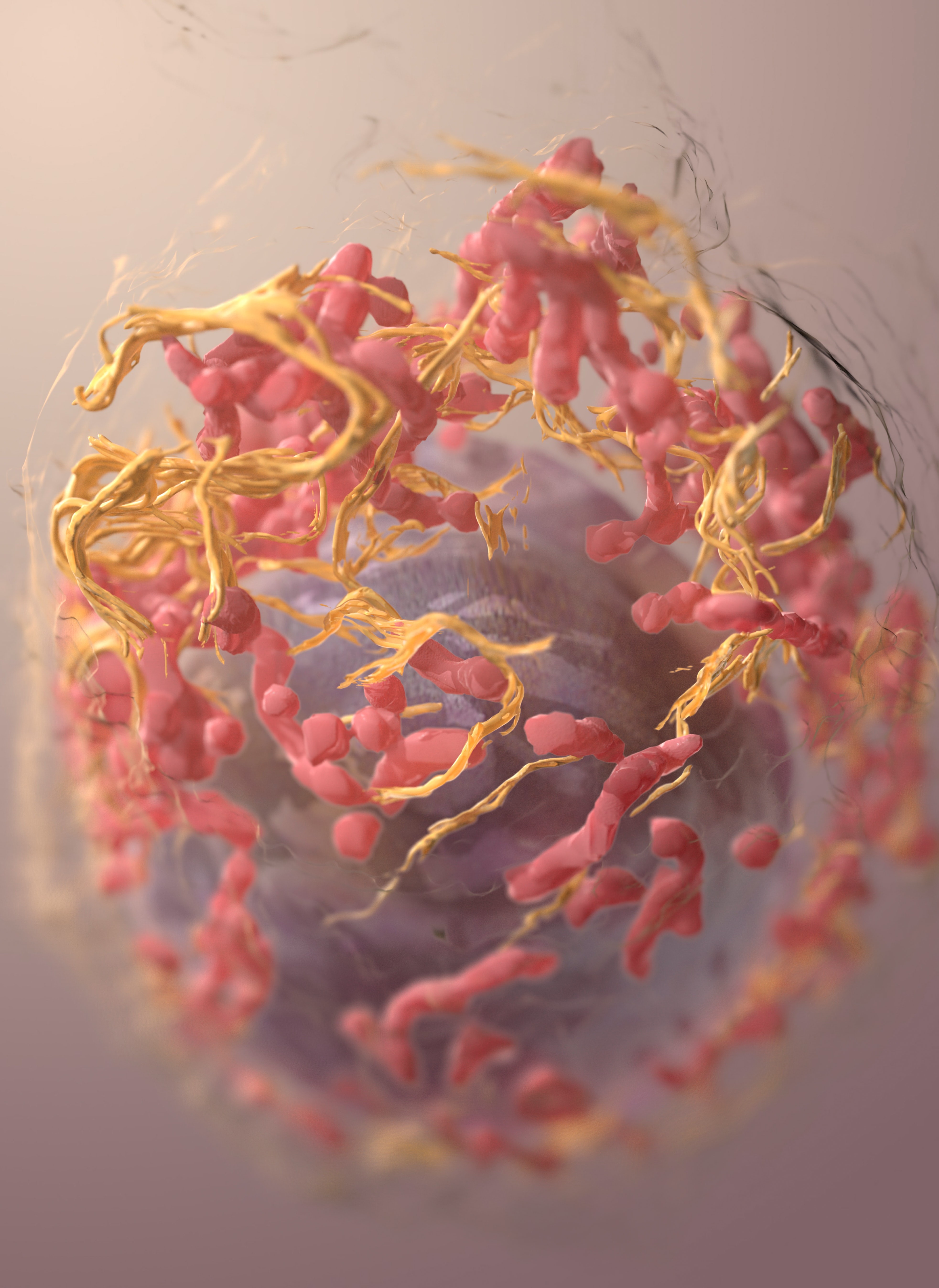 Entrevista: A maioria dos cânceres pode ser prevenida. Acima: estrutura 3D de uma célula de melanoma. (Foto: National Cancer Institute/Unsplash)