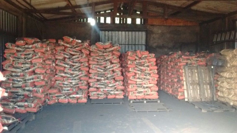 Dono da carvoaria foi multado em R$10,6 mil (Foto: Polícia Ambiental/ Divulgação )