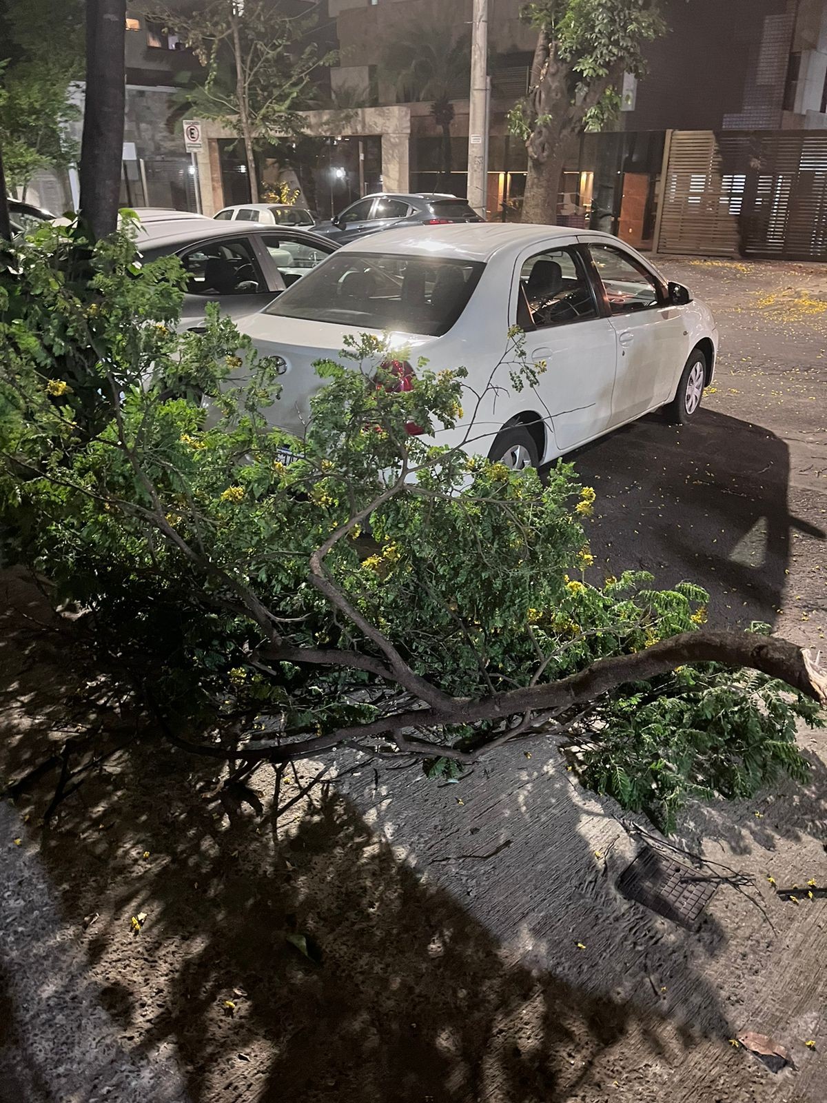 'Que vento é esse?': Vendaval atinge BH nesta quinta; entenda