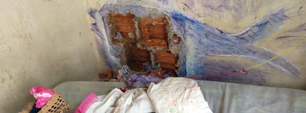 "Obra de arte" escondia escavação no Centro de Detenção de Ouro Preto (RO) — Foto: Singeperon/Reprodução