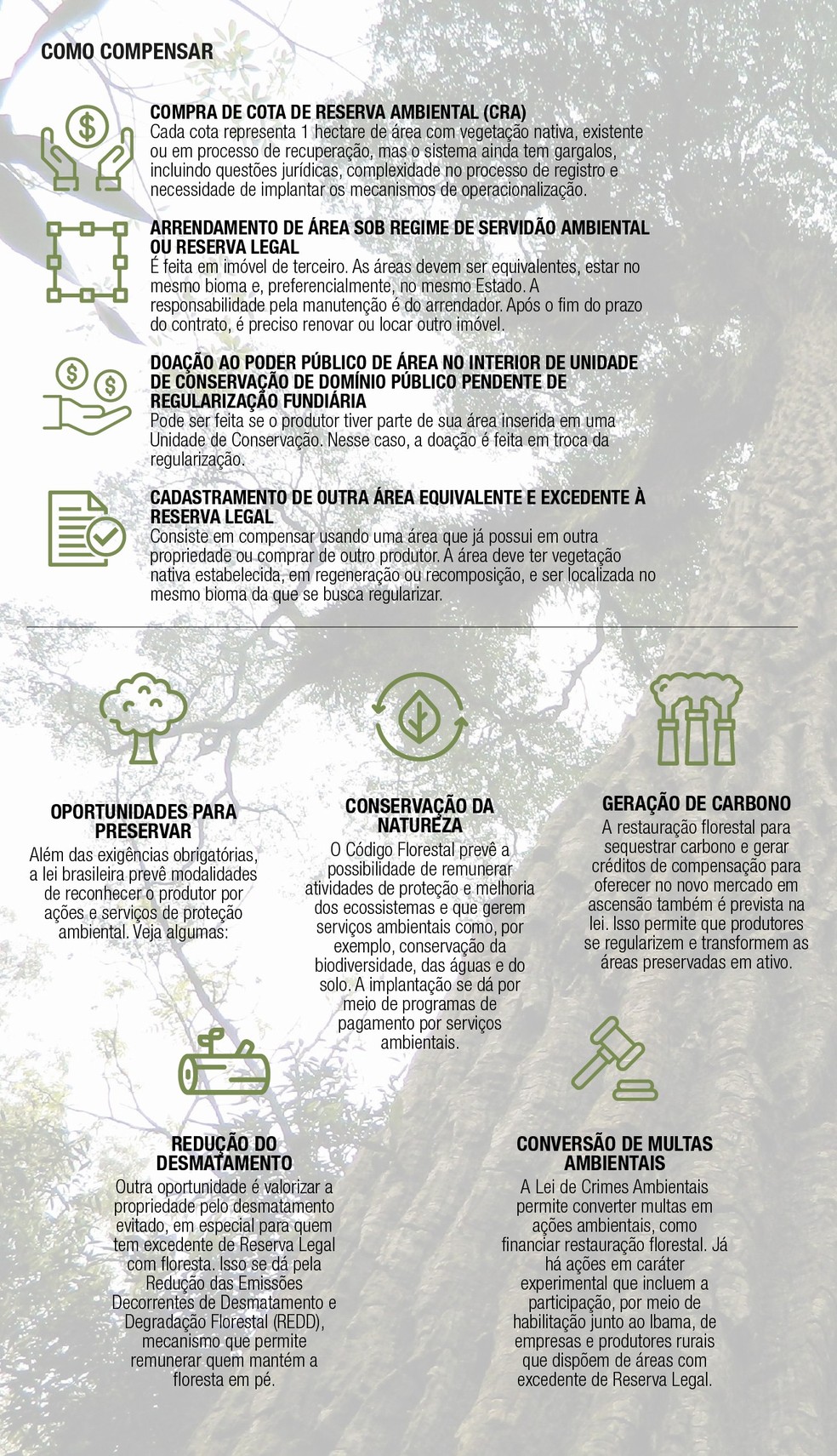  — Foto: Revista Globo Rural