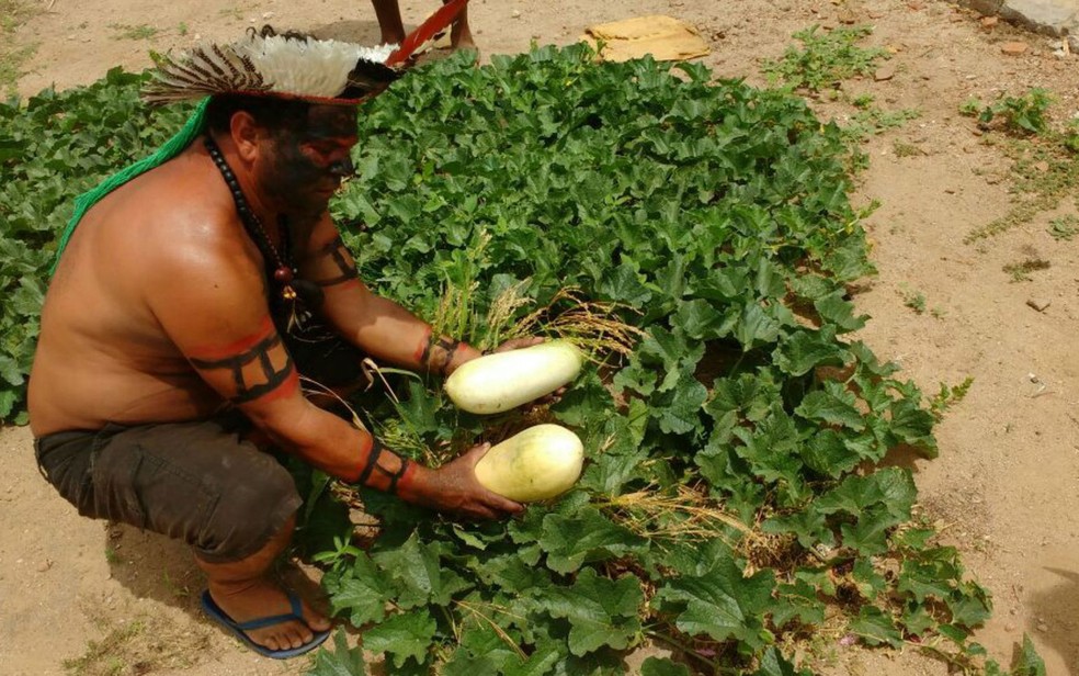 IndÃ­genas foram retiradas de Ã¡rea em que ocupavam Ã s margens do Rio SÃ£o Francisco (Foto: DivulgaÃ§Ã£o/ Defensoria PÃºblica da UniÃ£o na Bahia)