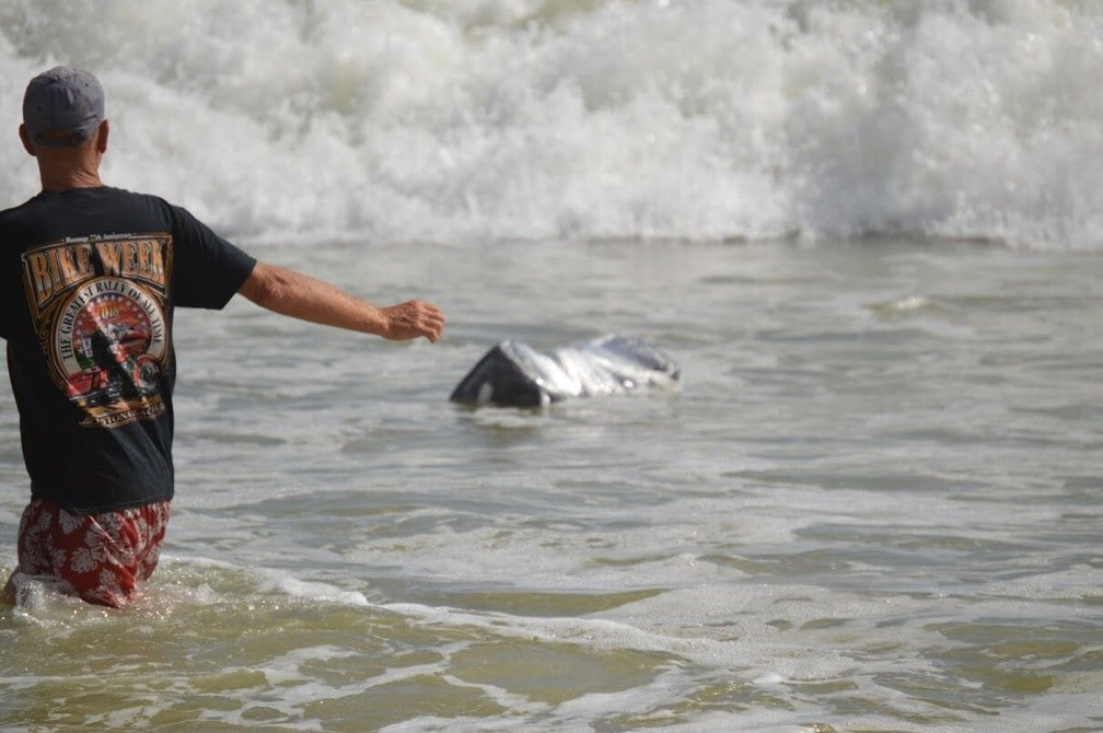 Banhistas tentam pegar carregamento de maconha em praia da FlÃ³rida â Foto: DivulgaÃ§Ã£o/ Flager County Sheriff