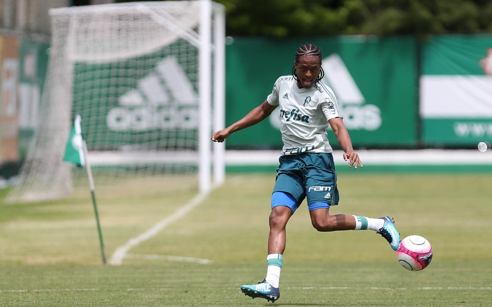 Palmeiras recebe proposta do Al-Nassr pelo atacante Keno ...