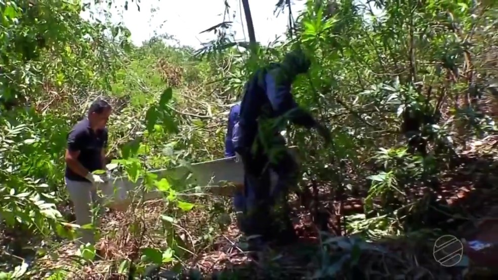 VÃ­tima ainda nÃ£o foi identificada â Foto: TVCA/ ReproduÃ§Ã£o