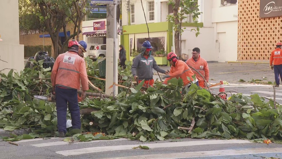 Árvore caída na Rua Bandeira Paulista, no Itaim Bibi, nesta quarta-feira (10), na Zona Sul de SP. — Foto: Reprodução/TV Globo