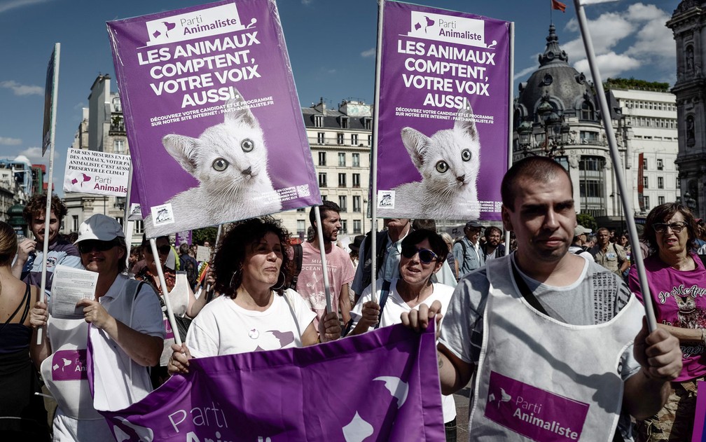 Manifestantes exibem cartazes com a frase ‘animais contam com sua voz também’, perto do Hotel de ville, em Paris, no sábado (8) (Foto: Philippe Lopez/AFP)