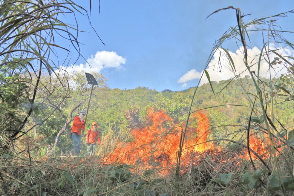 Projeto piloto de combate às queimadas no Tocantins foi realizado em 2020 — Foto: Luiz Henrique Machado/Governo do Tocantins
