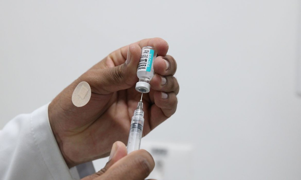 Brasil recibe primer lote de vacunas bivalentes contra covid-19 |  Ciencia y Salud