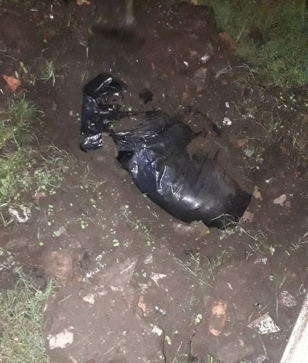 Segundo a Polícia Civil, homem confessou ter matado o próprio cachorro e enterrado em quintal em Guarujá, SP — Foto: G1 Santos