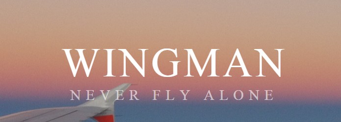 Wingman encontra pessoas no mesmo voo de avi?o (Foto: Reprodu??o/Wingman)